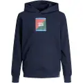 Jack & Jones Jorbecks Hættetrøje
