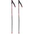Rossignol Hero Gs-sg Spadserestokke