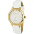 Devota & Lomba Watches Dl006wn-02whi Dameur