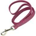 Gloria Oasis Hundesnor
