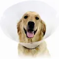 Kvp Check Hundekrave