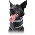 Kvp Bite Free Hundehalsbånd