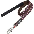Red Dingo Dots Hundesnor
