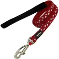Red Dingo Stars Hundesnor