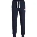 Jack & Jones Gordon Sportsbukser