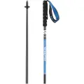 Salomon Pulsar Carbon Spadserestokke