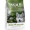 Wolf of Wilderness "Untamed Grasslands" Hest - Kornfri - 1 kg
