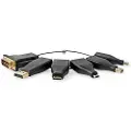 Nedis Guld Multiadapter Til Hdmi Hun Dp/dvi/microhdmi/minihdmi/minidp/usb-c Pvc-belagt