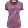 Icebreaker Sphere Ii Trail T-shirt Med Korte ærmer