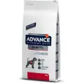 Affinity Advance Veterinary Diets Diabetes - Økonomipakke: 2 x 12 kg