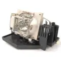 BenQ Projektorpære - Sp820