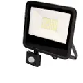 EDM 50w 4000 Lumens 6400k Led-projektør