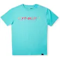 O'Neill Sanborn T-shirt Med Korte ærmer