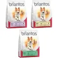 Briantos Adult Lam og ris - 1 kg