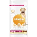 IAMS Advanced Nutrition Senior & Mature Large Kylling - Økonomipakke: 2 x 12 kg