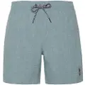 Protest Davey Badeshorts