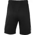 Nike Team Spike Youth Shorts