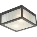 QAZQA Udendørs loftslampe sort med rillet glas 2-lys IP44 - Charlois