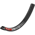 Dt Swiss Xm 481 27.5´´ 30 Mm Std Vi Disc Tubeless Mtb-fælg