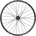 Mavic Deemax 21 29´´ 6b Disc Mtb Baghjul