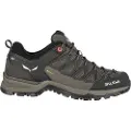 Salewa Mtn Trainer Lite Goretex Vandresko