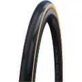 Schwalbe Pro One Evolution Super Race Tubeless 26´´ X 28 Urbandæk