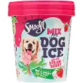Smoofl Ice Mix for Dogs - Jordbær