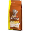 Affinity Ultima Ultima Medium/Maxi Adult Kylling & Ris - Økonomipakke: 2 x 18 kg
