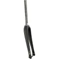 Ritchey Wcs Carbon Tapered Adventure 12x100 Mm Vejgaffel