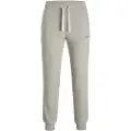 Jack & Jones Gordon Sportsbukser