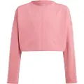 Adidas Yoga Sweatshirt