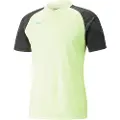 Puma Individualcup T-shirt Med Korte ærmer