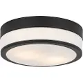 QAZQA Moderne udendørs loftslampe sort 28 cm IP44 - Flavi