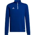 Adidas Entrada 22 Training Sweatshirt