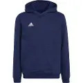 Adidas Entrada 22 Hættetrøje