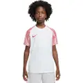 Nike Dri-fit Academy T-shirt Med Korte ærmer