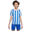 Nike Dri Fit Division 4 Striped T-shirt Med Korte ærmer