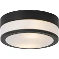 QAZQA Moderne udendørs loftslampe sort 23 cm IP44 - Flavi