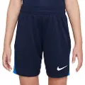 Nike Dri-fit Academy Pro Dh9287 Shorts