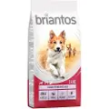 Briantos Adult Laks og ris - 14 kg