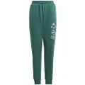 Adidas Joggingtøj / Træningstøj adidas BLUV Q3 PANT barn 13 / 14 år