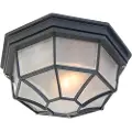 QAZQA Rustik loftslampe mørkegrå 26,5 IP44 - Bri