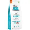 Brit Dog Hypoallergenic Puppy Lam & Ris - Økonomipakke: 2 x 12 kg