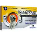 Pestigon Combo spot-on loppemiddel til hunde (2 - 10 kg)
