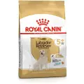 Royal Canin Adult 5+ Labrador Retriever hundefoder