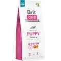 Brit Dog Grain-free Puppy Laks & Kartoffel - Økonomipakke: 2 x 12 kg