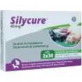 Fendigo Silycure 40 mg kosttilskud til kat og lille hund