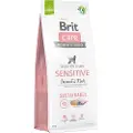Brit Dog Sustainable Sensitive Fisk & Insekter - 12 kg