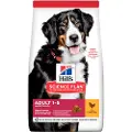Hill's Pet Nutrition Adult 1-5 Large Kylling - 2,5 kg