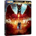Dvd Shazam! Fury Of The Gods Dvd